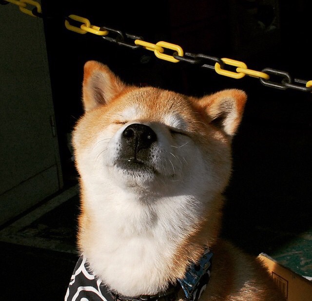 破茧成蝶！马克西生涯之夜毁约步行者，一战击碎所有质疑